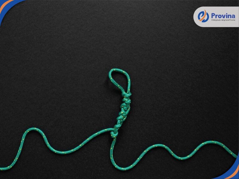 Dây Dù Xanh Sản Phẩm Bền Vững Và Đa Dụng