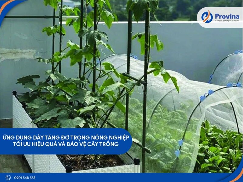 Ứng Dụng Dây Tăng Đơ Trong Nông Nghiệp: Tối Ưu Hiệu Quả Và Bảo Vệ Cây Trồng