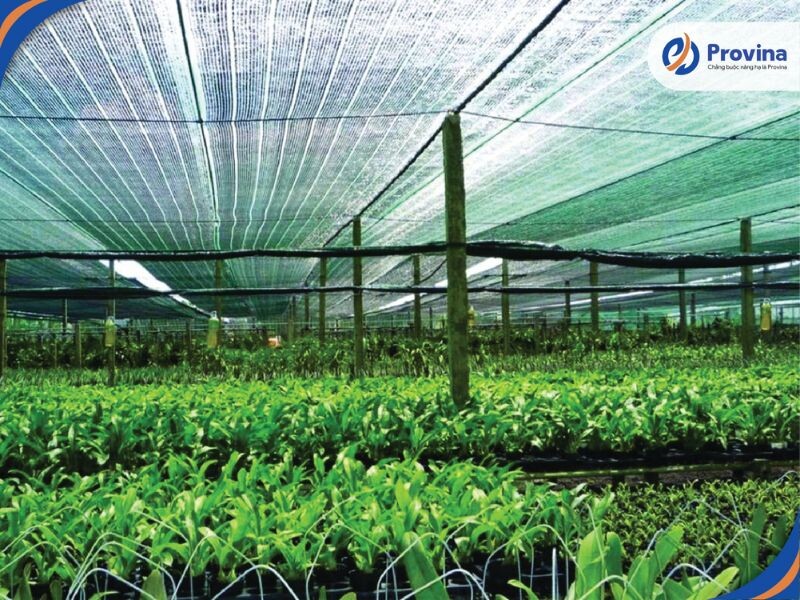 Lợi Ích Của Ứng Dụng Dây Tăng Đơ Trong Nông Nghiệp