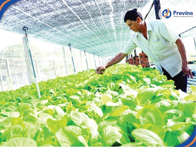 Ứng Dụng Phổ Biến Của Dây Tăng Đơ Trong Nông Nghiệp