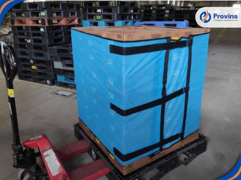 Đa Dạng Về Kích Thước Và Mục đích Sử Dụng
