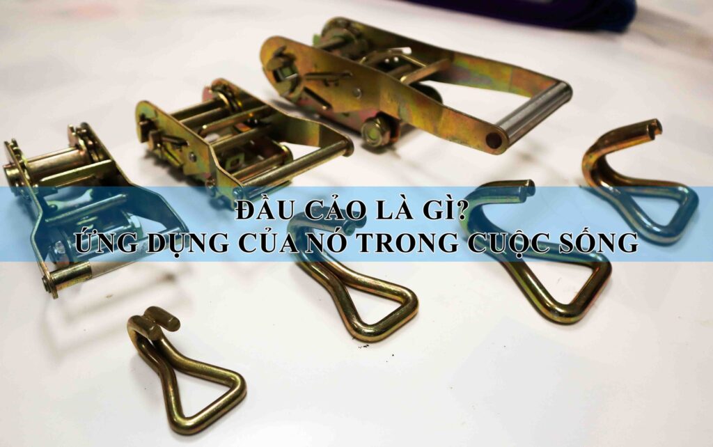 ĐẦU CẢO LÀ GÌ? CÔNG DỤNG CỦA CHÚNG TRONG THỰC TẾ