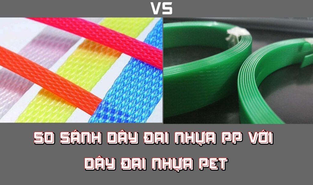 Dây Đai Nhựa Là Gì? Phân Loại Dây Đai Nhựa PP vs PET