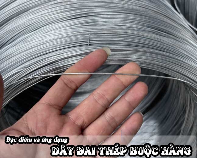 Vì Sao Dây Đai Thép Buộc Hàng Là Vật Tư Không Thể Thiếu Trong Vận Chuyển?