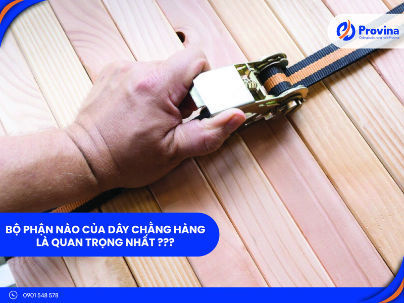 Bộ Phận Nào Của Dây Cảo Chằng Hàng Quan Trọng Nhất?