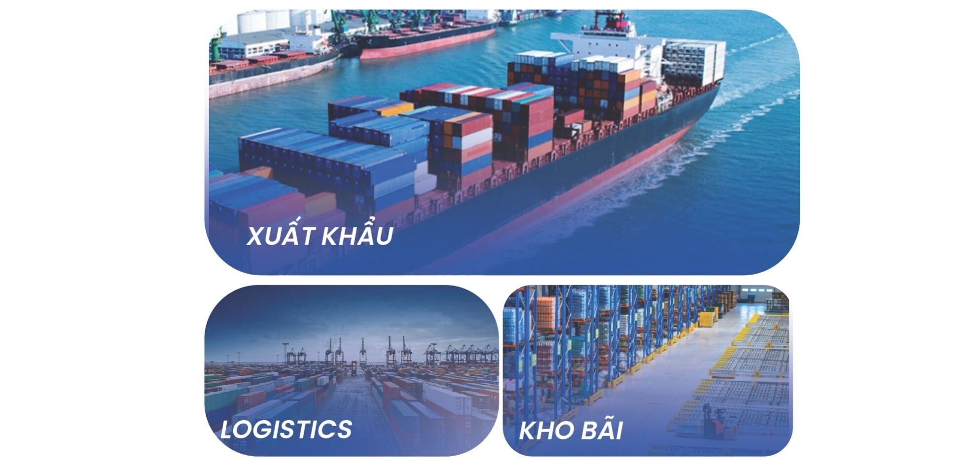 Lĩnh Vực Hoạt Động