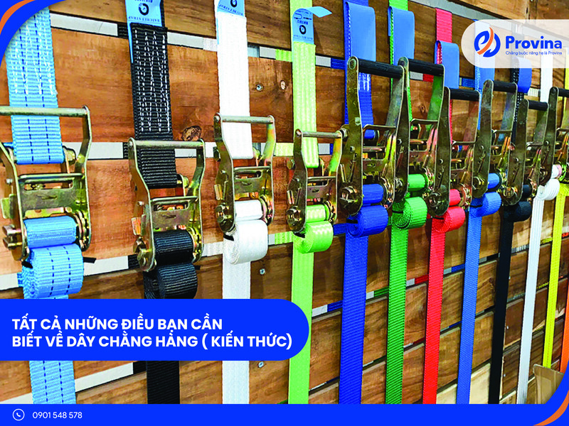 Những Điều Bạn Cần Biết Về Dây Chằng Hàng – Hướng Dẫn Chọn Mua Chi Tiết 2025